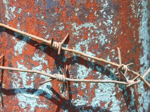 Barbed wire on the pole Foto stock