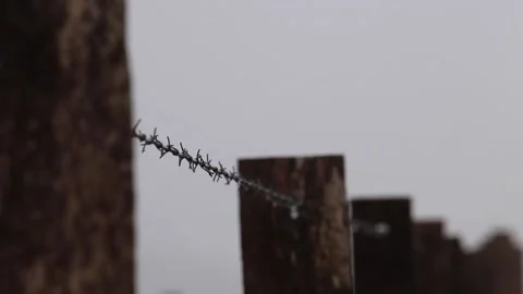 Barbed Wire Post Fence in Drizzle 스톡 동영상 191476949