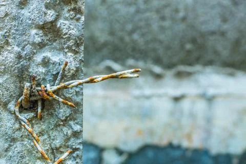 Barbed wire with potential danger. Stock Photos