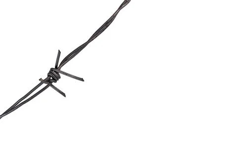 Barbed wire, prickly spike. Copy space Stock Photos