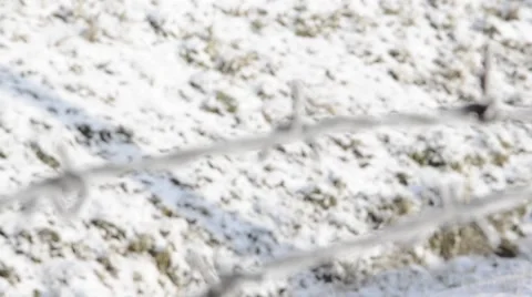 Barbed wire at prison Video stock 60954446