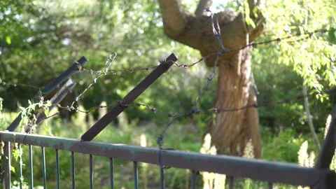 Barbed wire in prison surrounded by nature in 4k slow motion 60fps Stock Footage 233255821