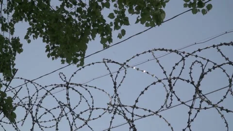 Barbed wire on prison wall 047 Stock Footage 154462765