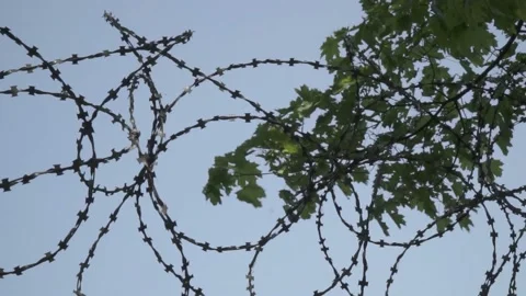 Barbed wire on prison wall 048 Stock Footage 154462775