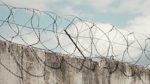 Barbed wire on the prison wall on a background of blue sky. Close-up. Vidéo 178124219