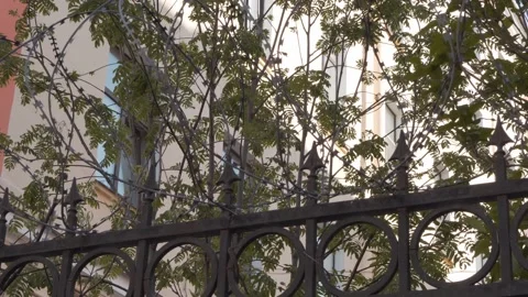 Barbed wire on prison wall. Video stock 157287114
