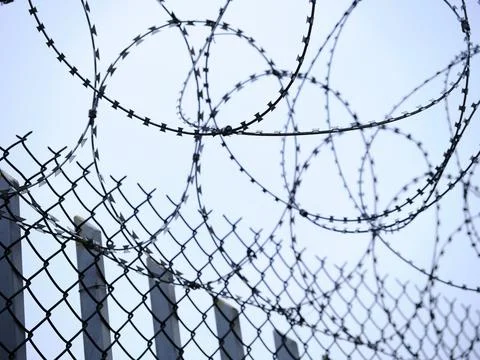 Barbed wire in a prison wall Stock Photos