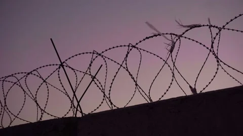 Barbed wire prison wall. sunset panorama. close-up Stock Footage 160596767