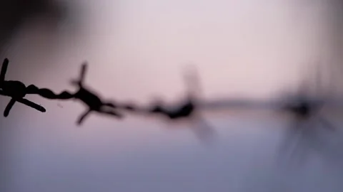 Barbed wire protect private field Stock Footage 145844139
