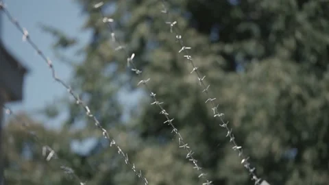 Barbed wire protecting war territory Stock Footage 204150921
