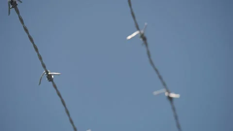 Barbed wire protecting war territory Stock Footage 204150947