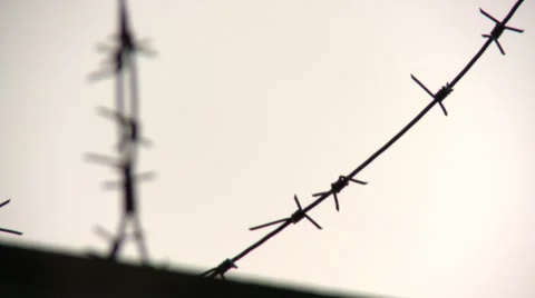 Barbed wire pull focus Stock Footage 900900