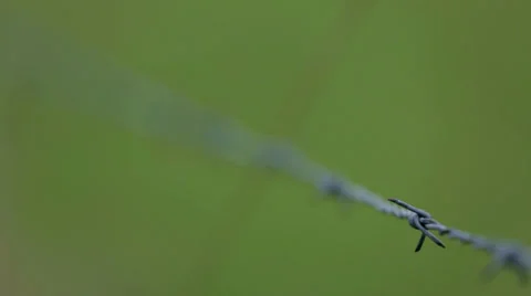 Barbed Wire Rack Away Stock Footage 37232675
