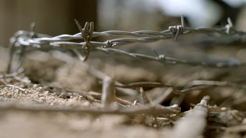 Barbed Wire Rack Focus, 4k Stock Footage 149023969