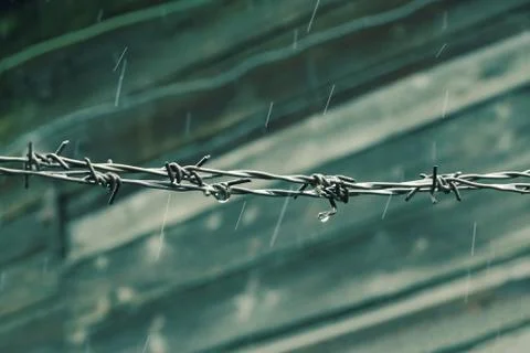 Barbed wire raining cold background wooden wall Stock Photos