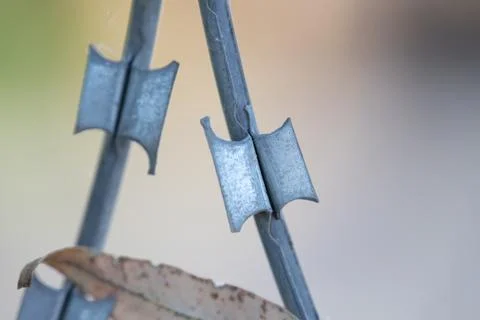 Barbed wire razor sharp metal blades creating barrier Stock Photos