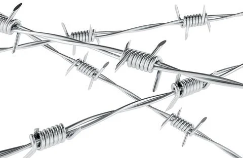 Barbed wire rows. 3D rendering Stock Illustration