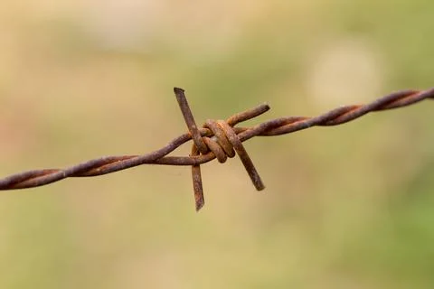 Barbed wire rust macro Stock Photos