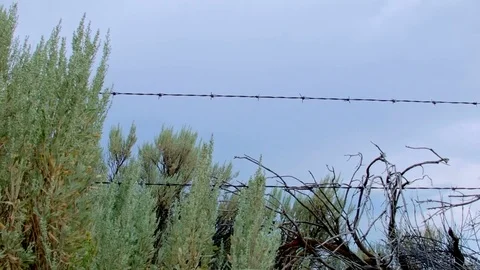 Barbed wire Sagebrush Steens Mountain Near Malhuer Wildlife Refuge 1 Stock Footage 81585410