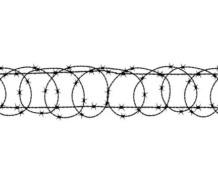 Barbed wire seamless pattern. Vector illustration. Islated. Stock Illustration