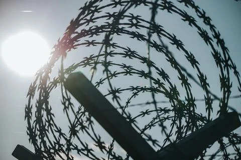 Barbed wire security barrier silhouetted against bright sun with dense coil.. Stock Photos