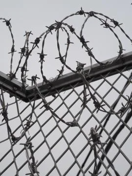 Barbed wire security fence. Stock Photos