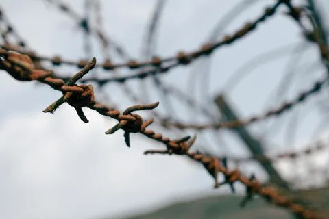 Barbed wire security fence ,with selective focus. Stock Photos