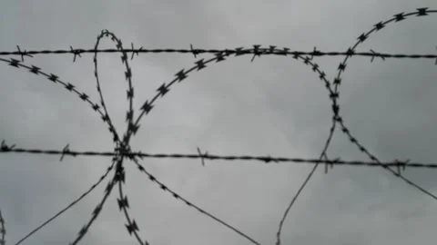 Barbed Wire Security Fencing Stock Footage 261573619