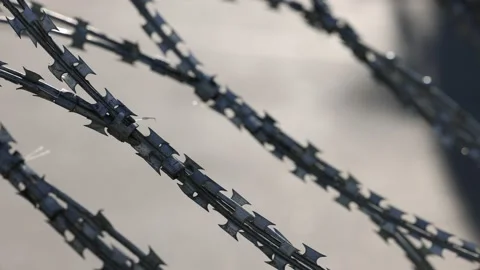 Barbed wire with sharp spikes, blades. A spiral of barbed tape. An element of Stock Footage 160109329