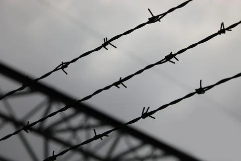 Barbed wire with sharp thorns on the impassable border that cannot be cross.. Stock-Fotos