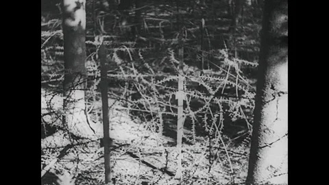 Barbed wire of Siegfried Line Stock Footage 252528182