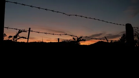 Barbed wire silhouette, close-up of a prison or military fence at sunset. Barbed Stock Footage 108215582