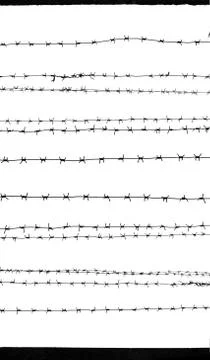 Barbed wire. silhouette Stock Illustration