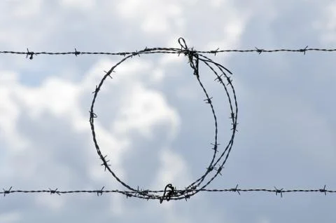 Barbed wire in silhouette Stock Photos