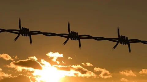 Barbed Wire Silhouette, Sunset Timelapse Stock Footage 98048692