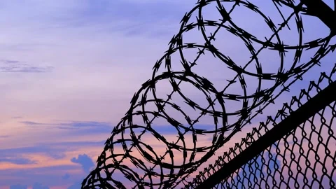 Barbed Wire Silhouette: Visualizing Confinement with Mesh Stock Footage 240130938