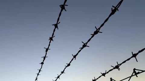 Barbed wire silhouetted against clear sky, symbolizing restriction and secu.. Stock Footage 330397203