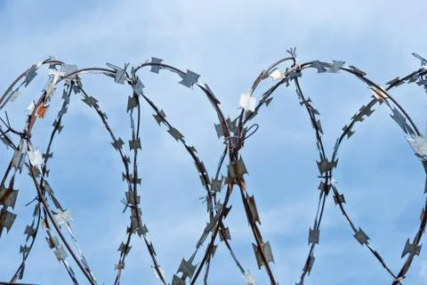 Barbed wire on the sky background Stock Photos
