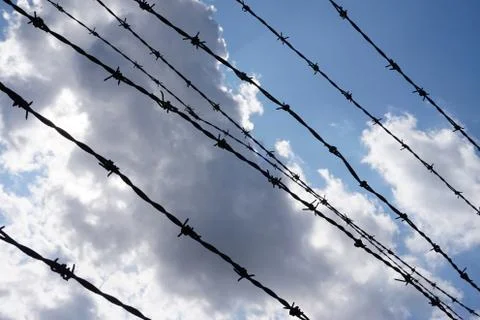 Barbed wire, sky in background - prison/ jail 写真素材