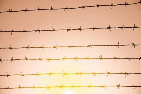 The barbed wire on sky background with sunset Stock Photos