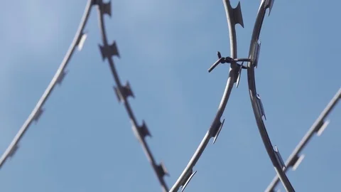 Barbed wire. Sliding along. Close up. Stock Footage 74767063
