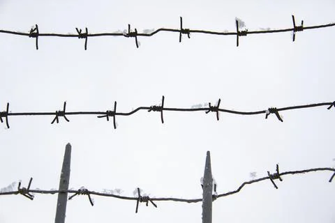 Barbed wire with snow on against light background in the winter  cloudy day Stock Photos