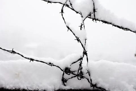 Barbed wire in the snow Stock-Fotos