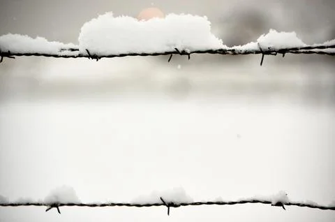 Barbed wire with snow Stock Photos