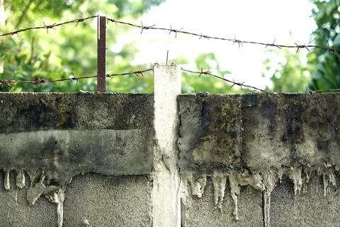 Barbed wire stand on the old wall Foto stock