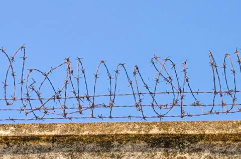 Barbed wire on a stone wall Foto stock