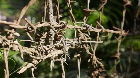 Barbed wire is stretched in several rows forming layered lines of sharp metal Video stock 331078788