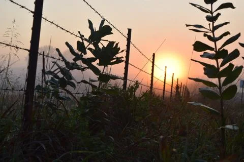 Barbed Wire &amp; the Sun 写真素材