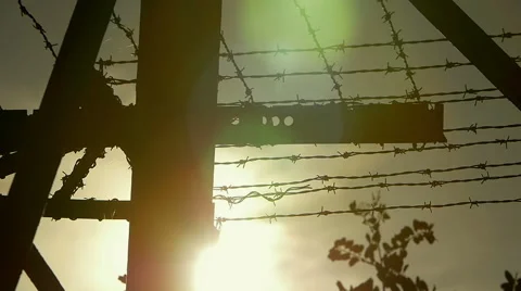 Barbed wire with sunset in background  Stock Footage 54680942