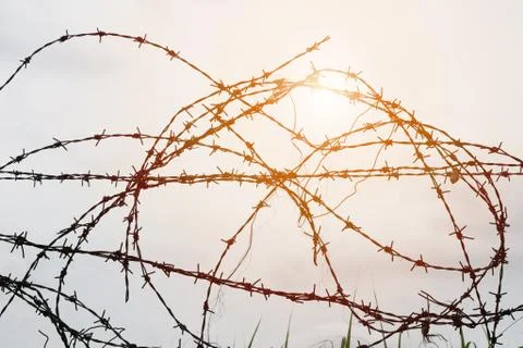 Barbed wire on sunset background Stock Photos